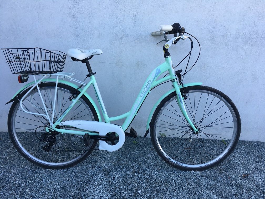 VTC femme avec panier